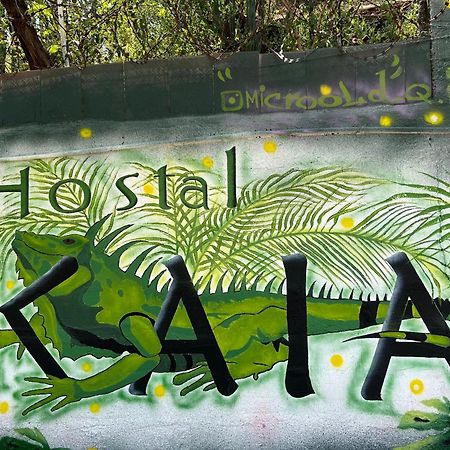 Hostal Kaia サンタ・マルタ エクステリア 写真