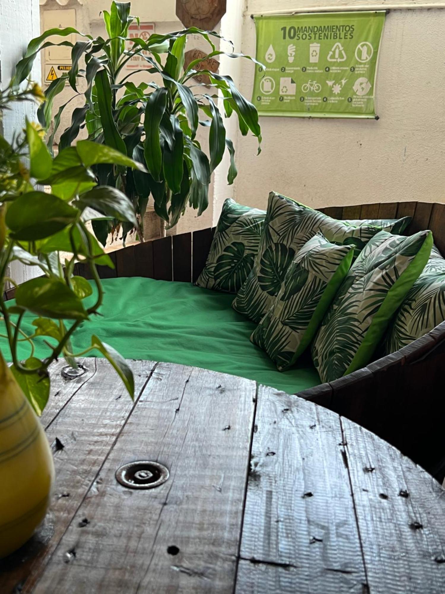 Hostal Kaia サンタ・マルタ エクステリア 写真